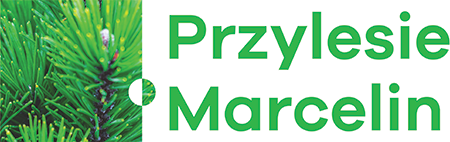 Przylesie Marcelin IIB